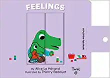 Feelings: A Pull-The-Tab Book