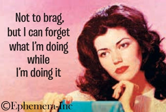 NOT TO BRAG, BUT I CAN FORGET WHAT I'M DOING WHILE I'M DOING IT - NOVELTY MAGNET - One Strange Bird