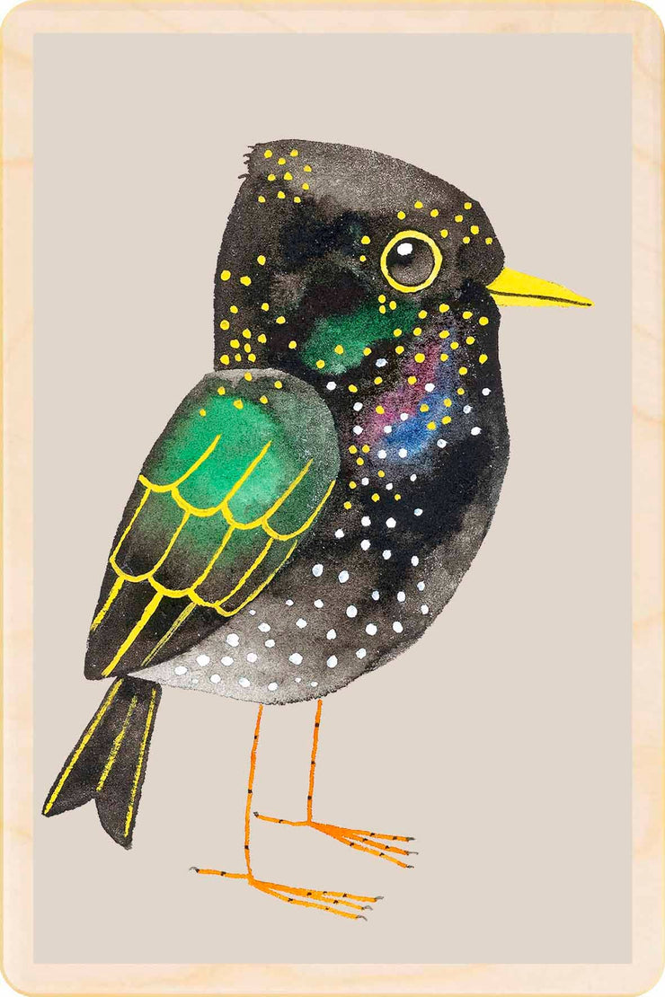 STARLING sustainable wood card, wood magnet