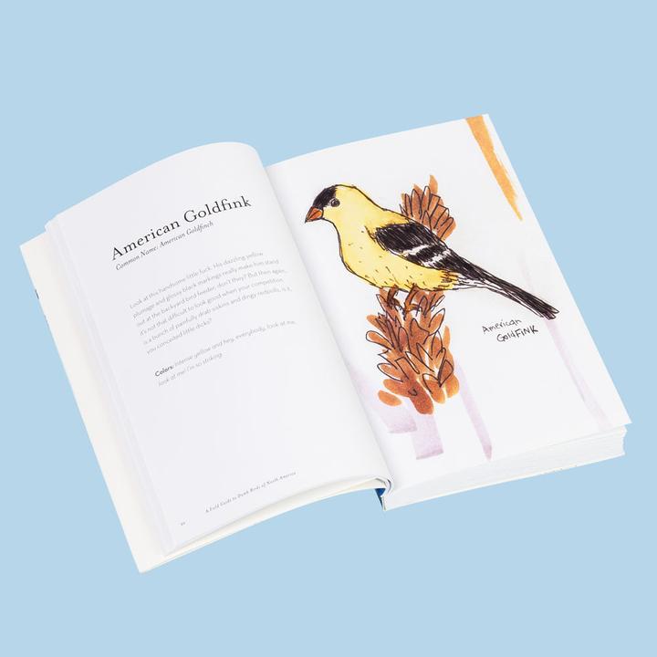 FIELD GUIDE TO DUMB BIRDS OF NORTH AMERICA PB - One Strange Bird
