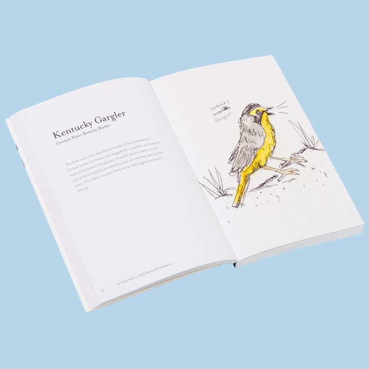 FIELD GUIDE TO DUMB BIRDS OF NORTH AMERICA PB - One Strange Bird