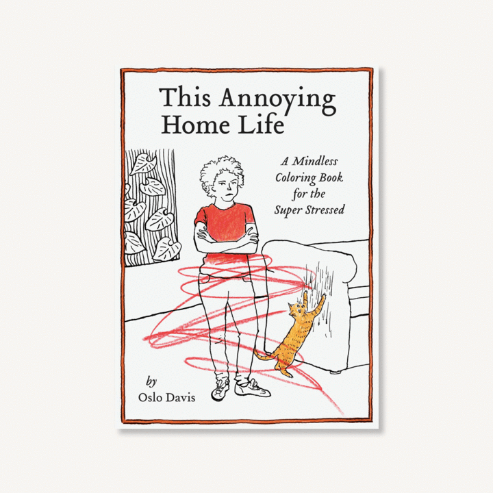 This Annoying Home Life A Mindless Coloring Book for the Super Stressed - One Strange Bird