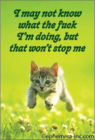 MAGNET: I may not know what the fuck I'm doing,