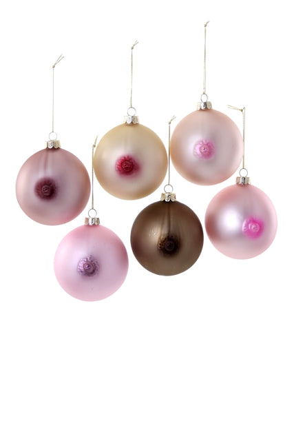 Boobs - One Strange Bird