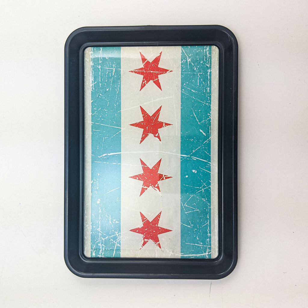 Classic Tray - One Strange Bird