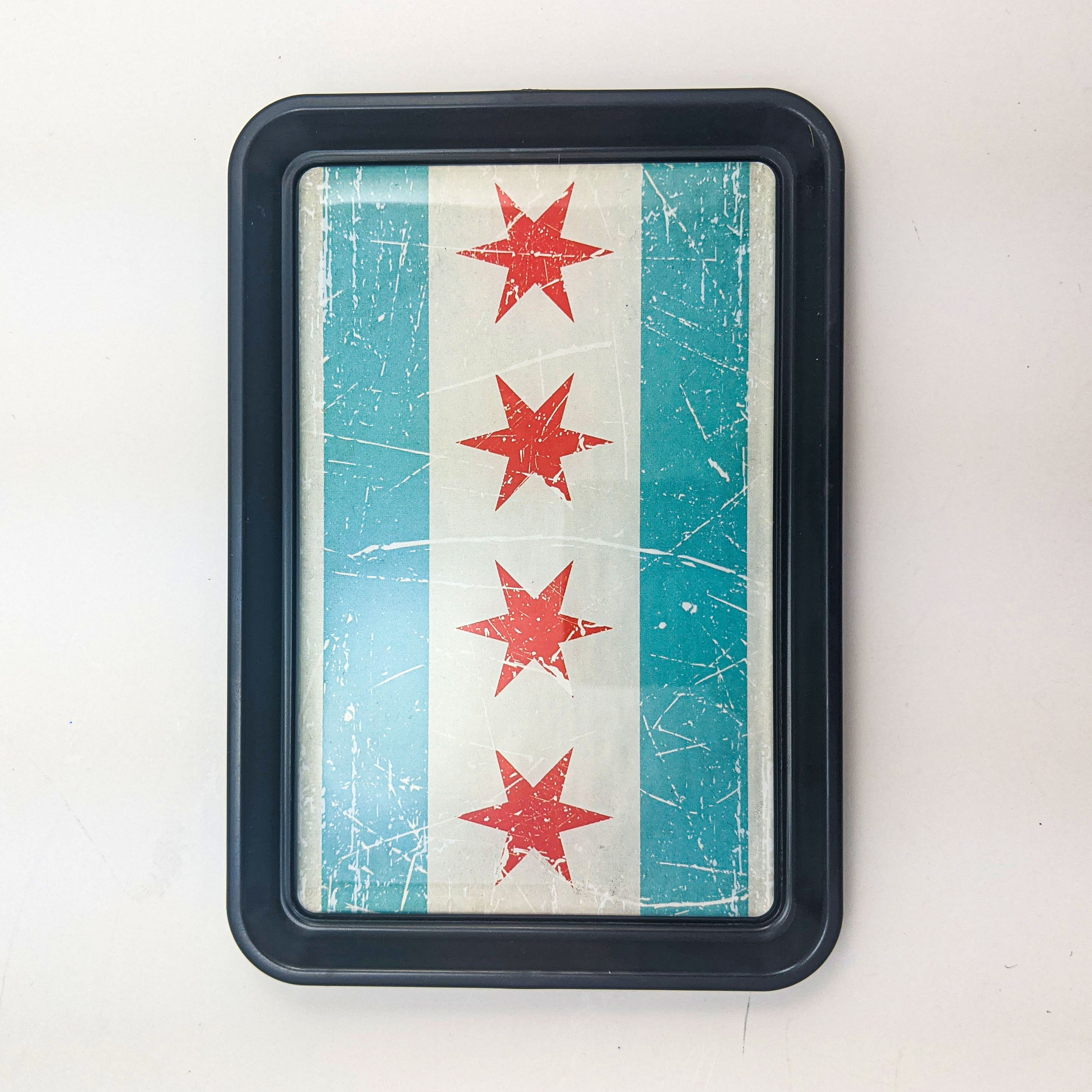 Classic Tray - One Strange Bird