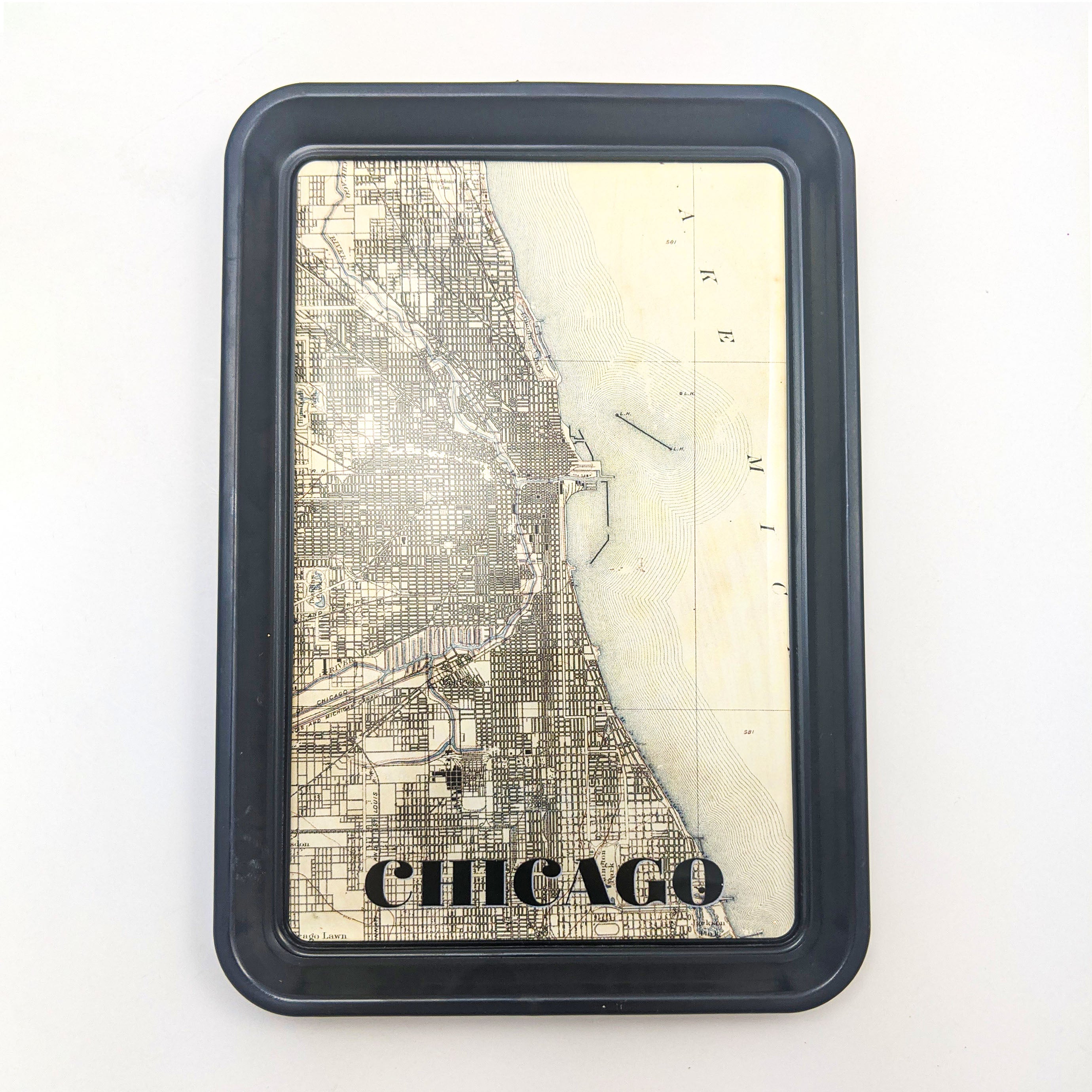 Classic Tray - One Strange Bird