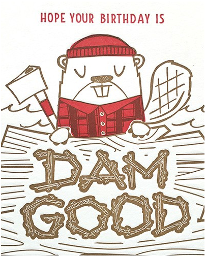 Dam Good Birthday - One Strange Bird