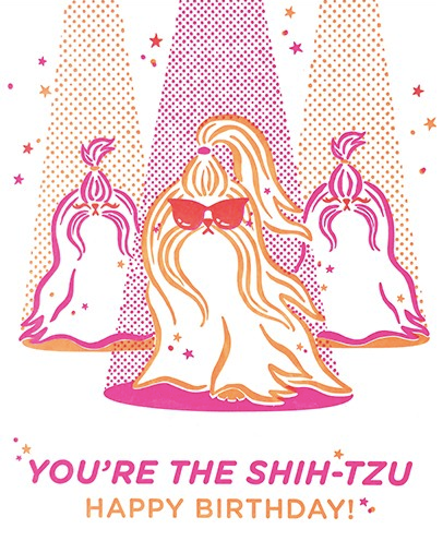 You're The Shih Tzu - One Strange Bird