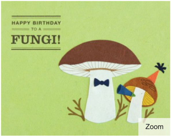 Happy Birthday Fungi - One Strange Bird