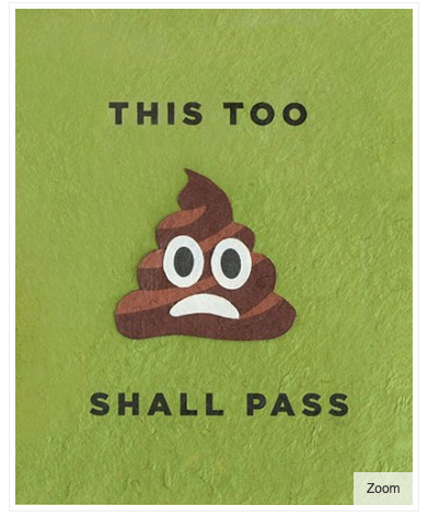 This Too Shall Pass - One Strange Bird