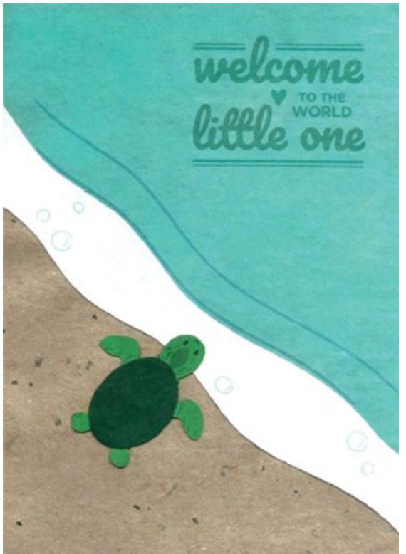 Baby Turtle Congrats - One Strange Bird