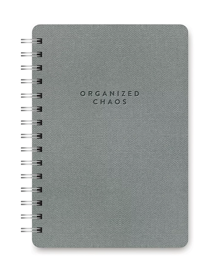 Agatha Notebooks - One Strange Bird