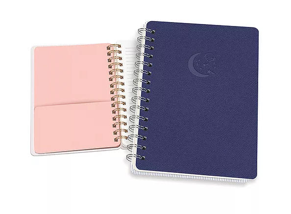 Agatha Notebooks - One Strange Bird