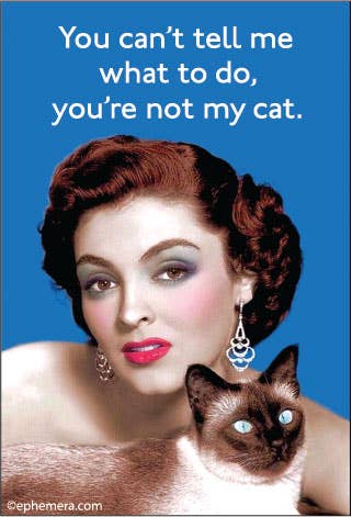 You can't tell me what to do, you're not my cat magnet