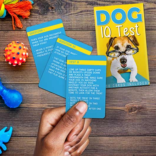Dog IQ test