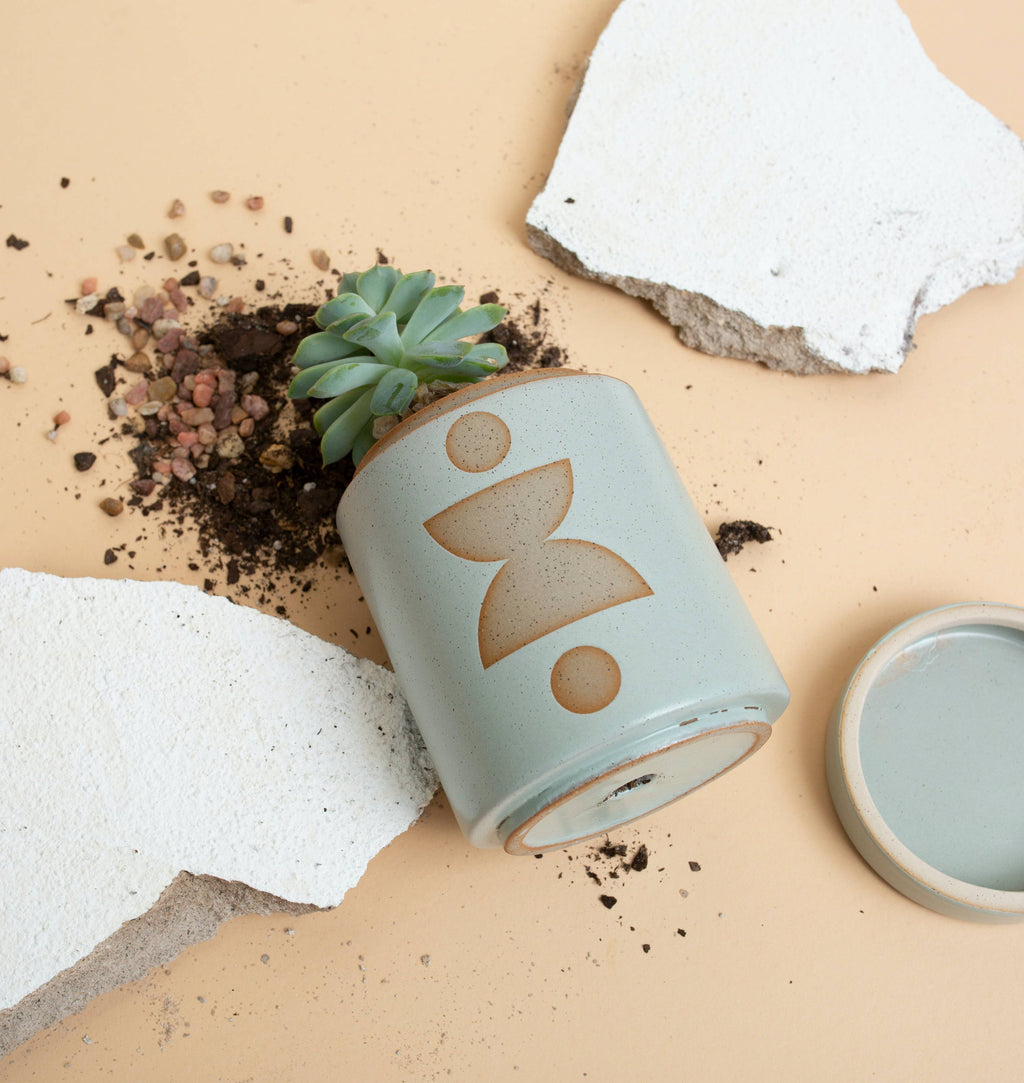 FORM GREEN CERAMIC + RAW SHAPES SPANISH MOSS - One Strange Bird