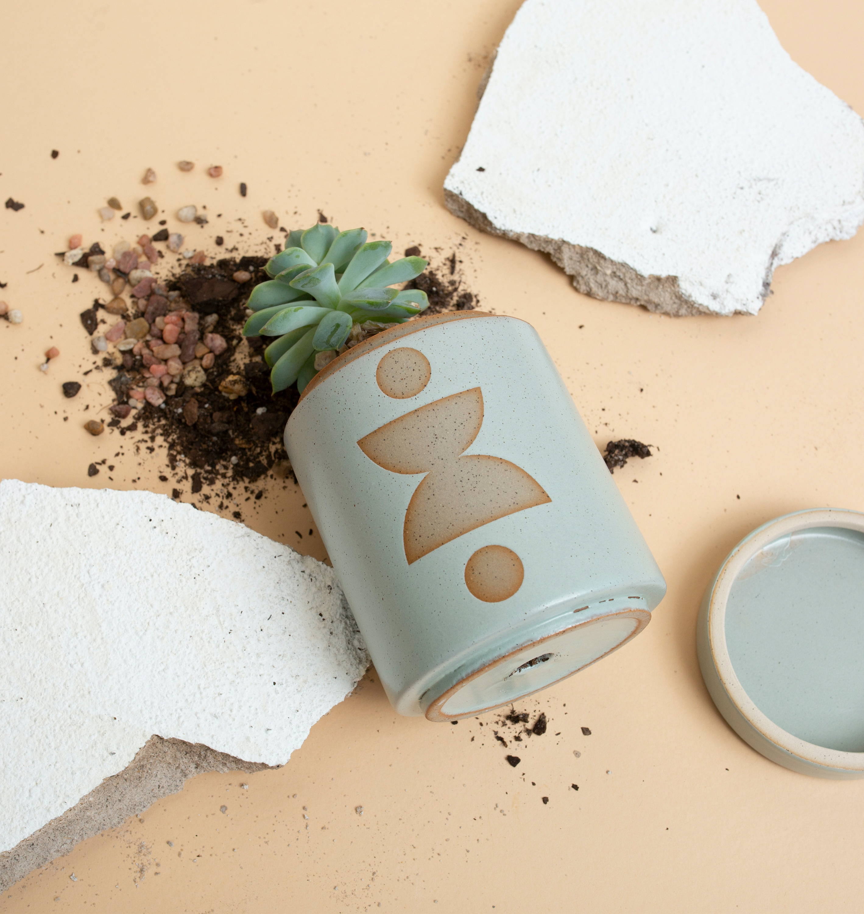 FORM GREEN CERAMIC + RAW SHAPES SPANISH MOSS - One Strange Bird