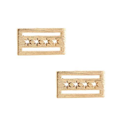 Chicago Flag Stud Earrings - One Strange Bird