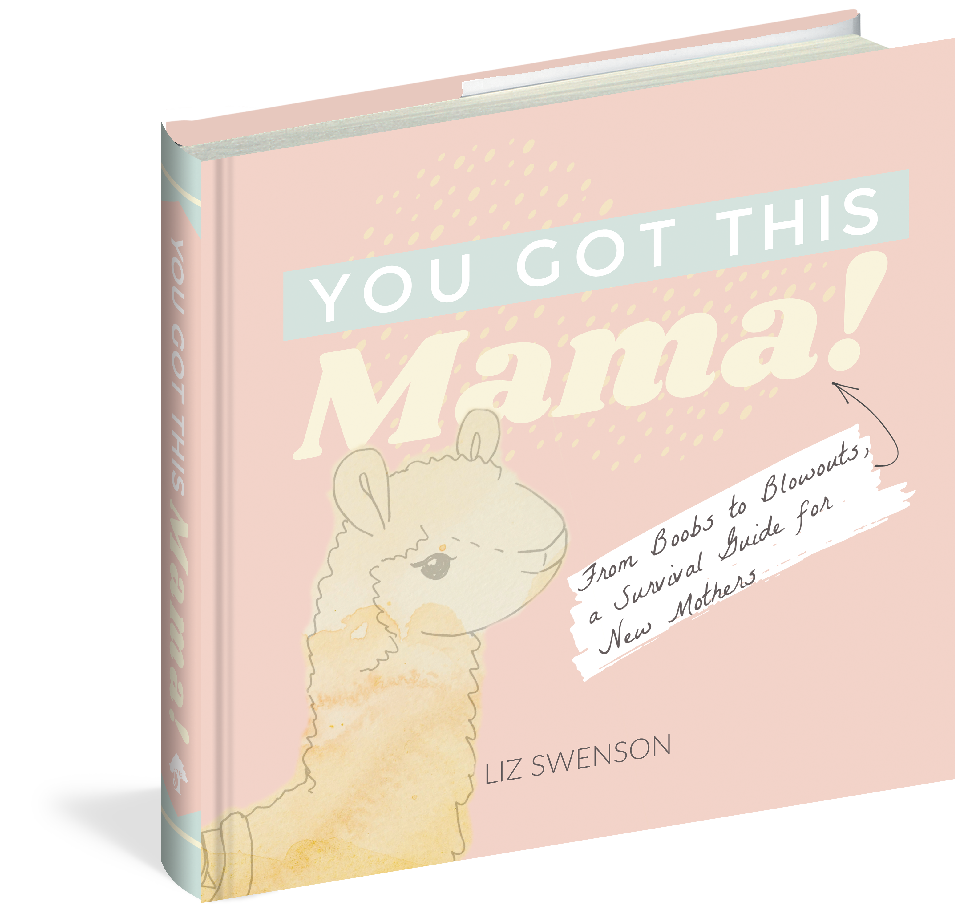 You Got This, Mama!: From Boobs to Blowouts, a Survival Guide for New Mothers