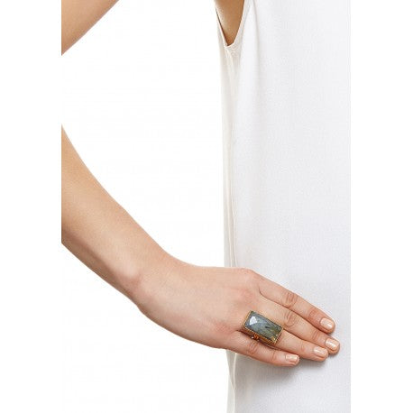 Large Rectangle Ring - One Strange Bird