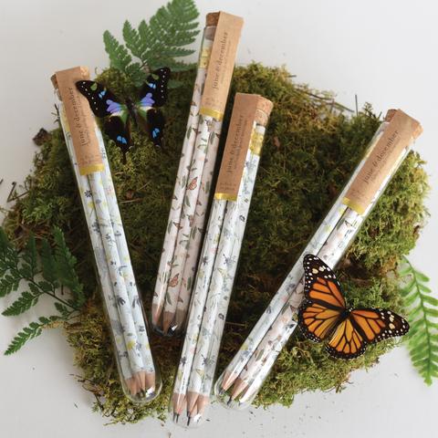 FLUTTERY MIX PENCIL TERRARIUM - One Strange Bird